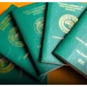 Passport-teamhousetv.com