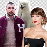 Travis Kelce Teams Up With His Dog For Tommy-teamhousetv.com